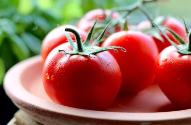 yum, those good red tomatoes