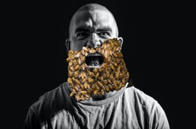 guy with a beard of bees