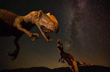 Dinosaurs roaring at the sky