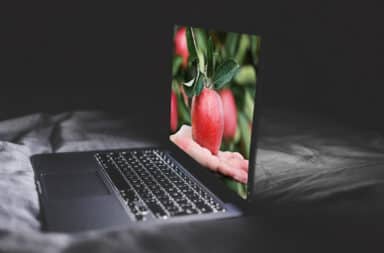 laptop apple picking