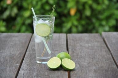 gin and tonic limes cocktail drink