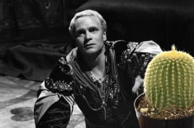 Hamlet and a cactus