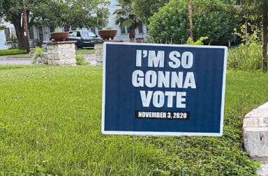 I'm So Gonna Vote (yard sign)