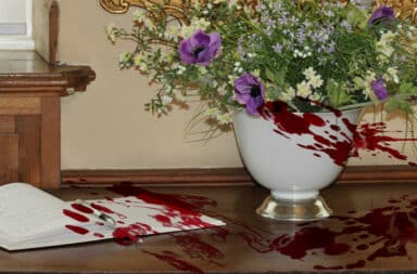 guestbook bloody murder