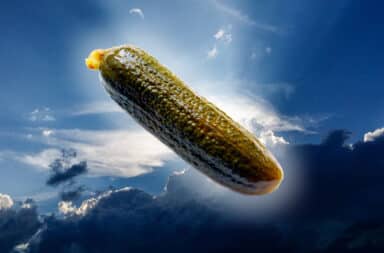 the pickle from heaven