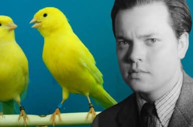 canary and orson welles