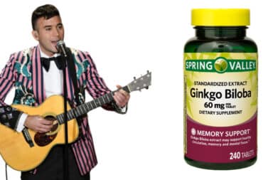 Sufjan and Ginko