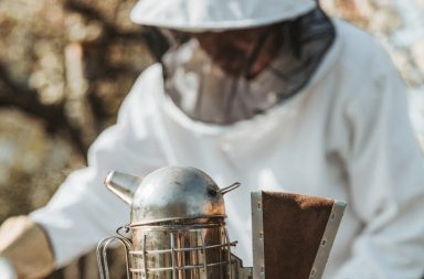 Beekeeper suit