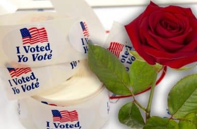 voting stickers by a rose