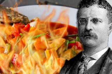 teddy roosevelt faces the spice