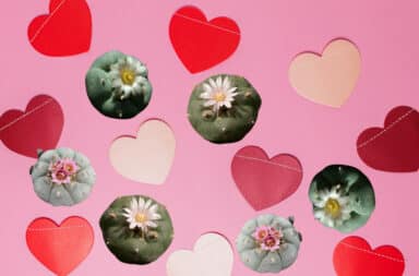 Valentine's Day hearts with peyote plants