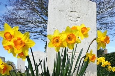 flowers on a grave