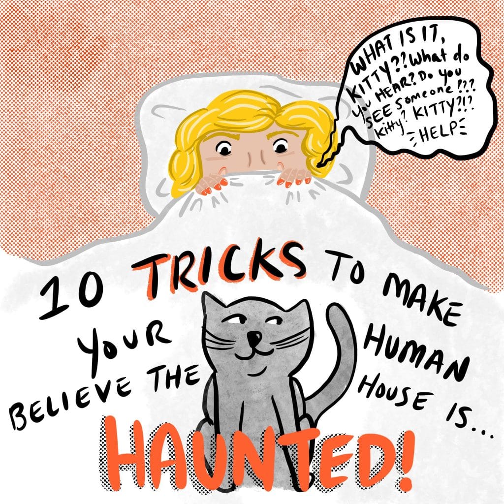 10 TRICKS to make your human believe the house is HAUNTED! [Image of a person in bed, and a cat perched at the foot of the bed. The person is saying, "What is it kitty?? What do you hear? Do you see someone??? Kitty? KITTY?!? -HELP-"]