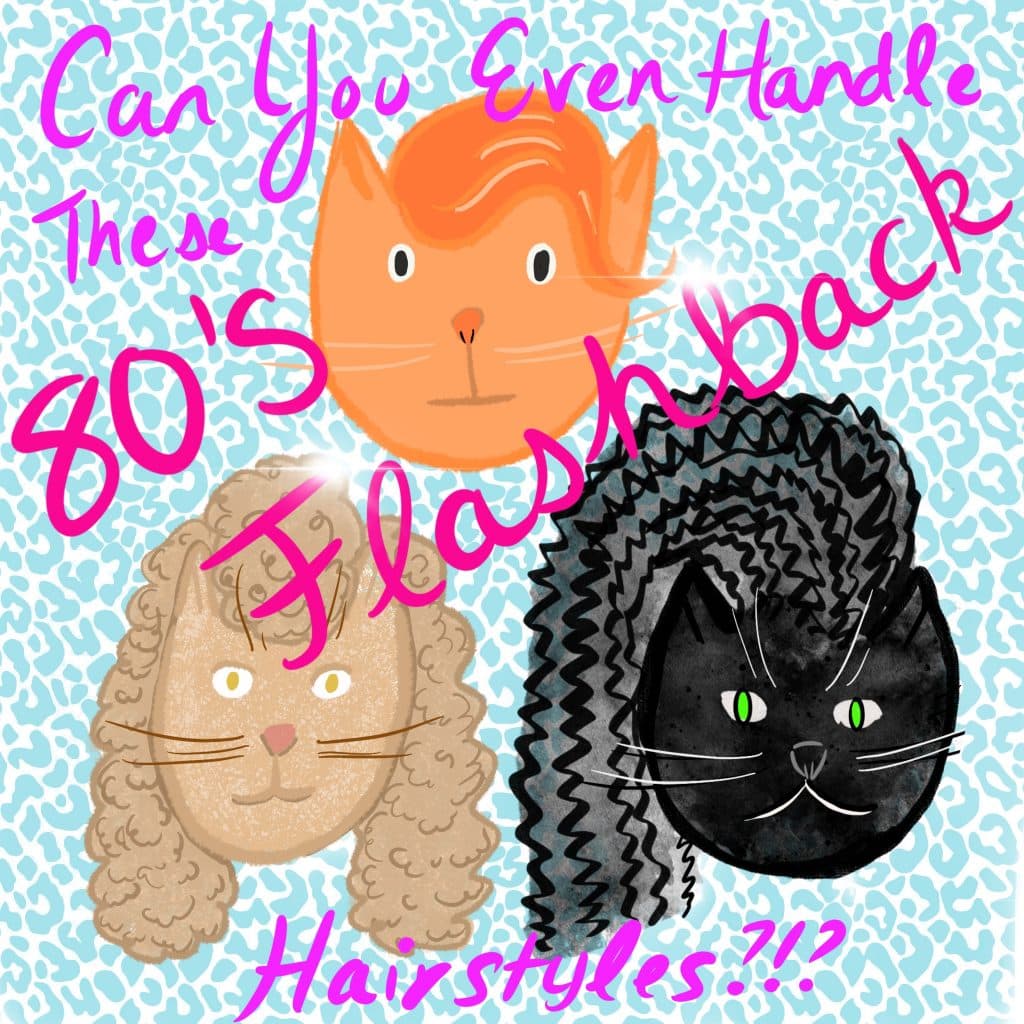 Can you even HANDLE these 80's FLASHBACK Hairstyles?!? [Montage of three cats wearing different 80's inspired hairstyles: the Rick Astley-esque wave, a crimped side-sweep, and a poofy-bangs and curly side hairdo.]