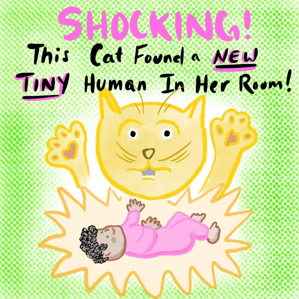 Shocking! This cat found a new TINY HUMAN in her room! [Cat is shown with their paws to their face in surprise, with an adorable baby below.]