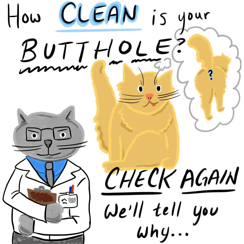 How clean is your BUTTHOLE? Check again, we'll tell you why... [A cat doctor with a clipboard looks at the screen, while in the background a cat is lifting their leg in mid-clean, and a thought bubble showing their backend and a question mark over their butthole.]