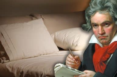 beethoven! bed!