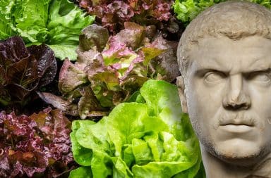 roman emperor caracalla and salads