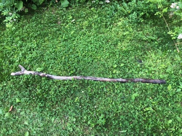 Stick in yard