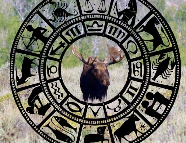 PIC Horoscope Signs
