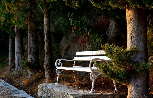 Park bench