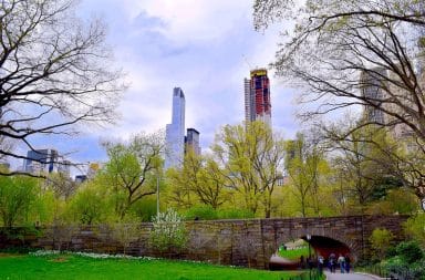 central park in spring