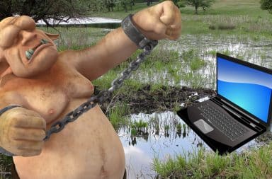 troll with a laptop in the swamp