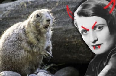 ayn rand and the hog