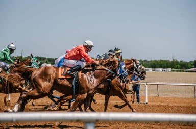 Horse racing close call