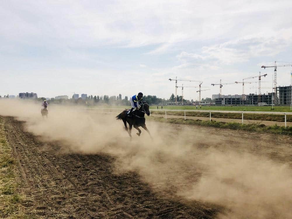 Horse racing leaving a dust trail