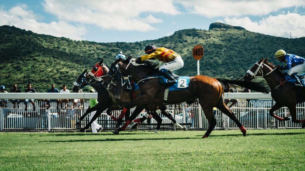 Horse racing by a mountain