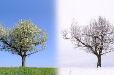 spring or winter seasons