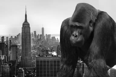 king kong in NYC