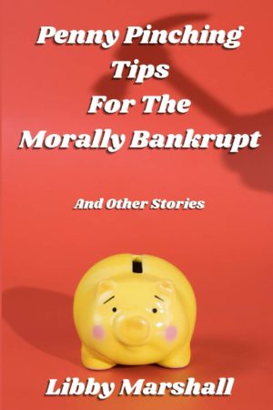 Penny Pinching Tips for the Morally Bankrupt (book front cover)