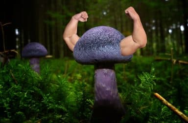 mushroom superfood super strong big arms awooooga