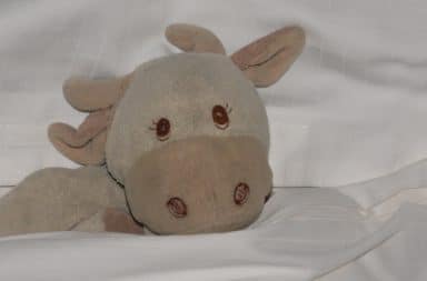 stuffed toy cow