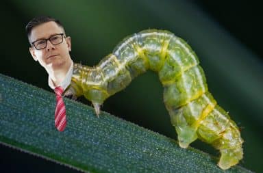 caterpillar business man