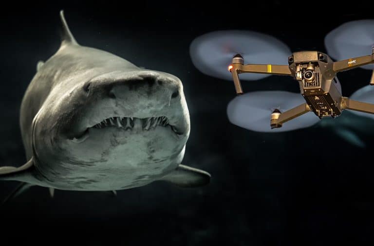 the sharks have drones now