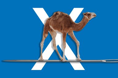 camel on a needle