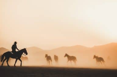 cowboy old west