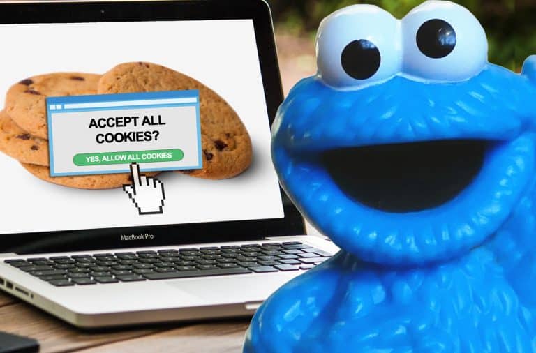 cookie monster and a laptop