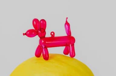 balloon animal