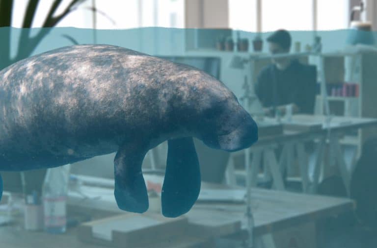 manatee floating in the office