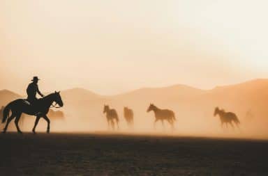 cowboy ridin' around