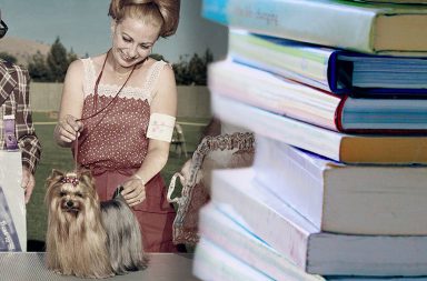 dog show and books