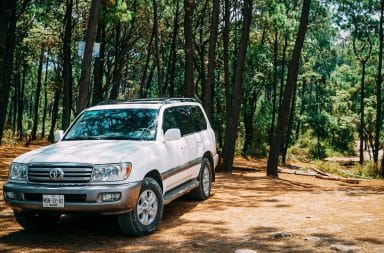 SUV in the woods, loving life