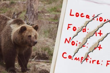 bear giving the grades now