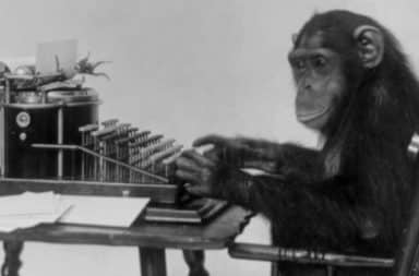 monkey at the typewriter