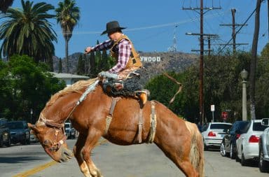 rodeo in LA