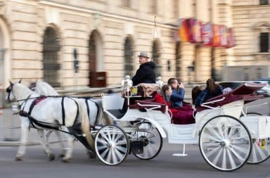 horse drawn carriage, tourist, horse cart
